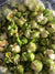 Strawberry Kiwi Gourmet Popcorn