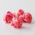 Bubble Gum Gourmet Flavored Popcorn